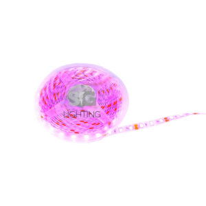 CINTA LED UNICOLOR 18W LUZ FUCSIA